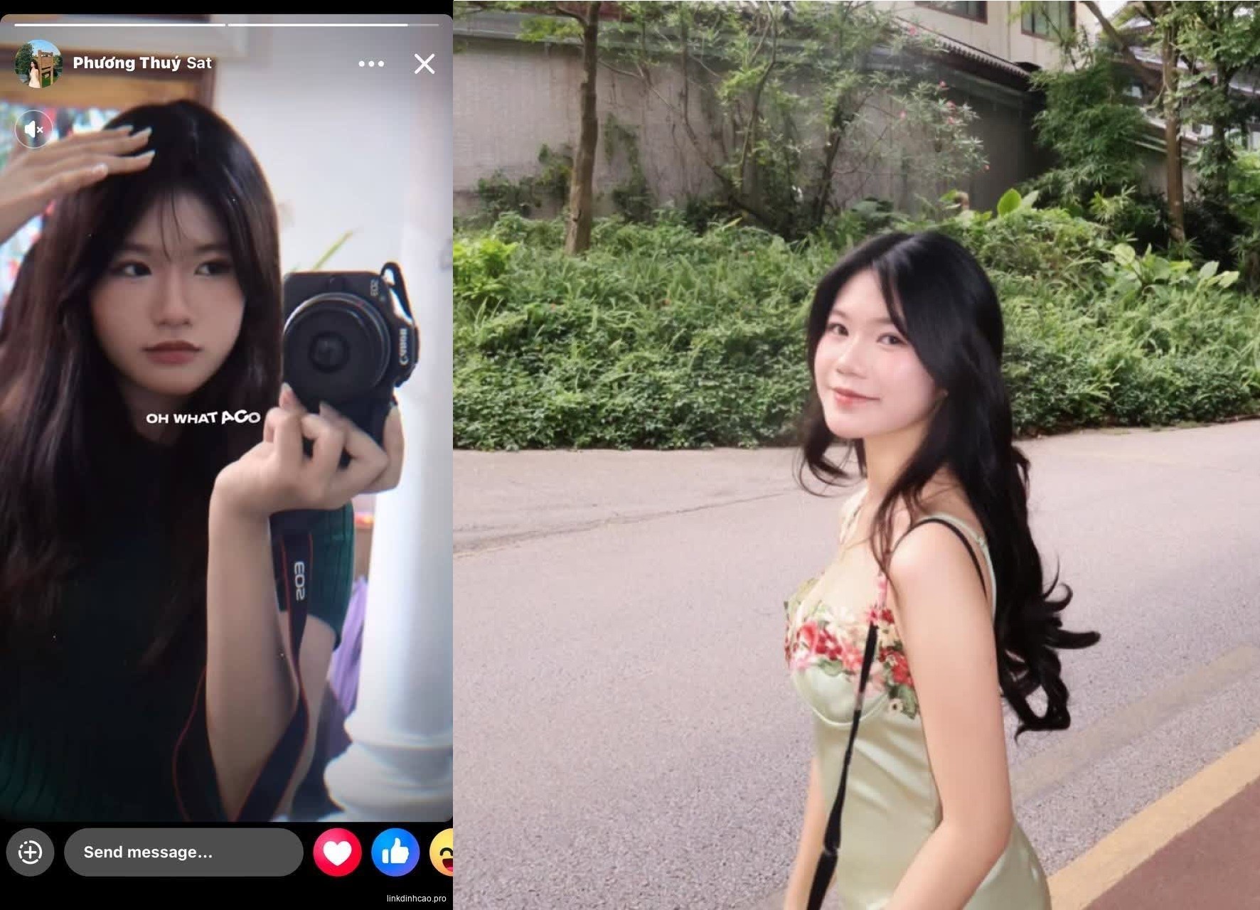 Poster of Phương Thúy lộ video sex sau breakup